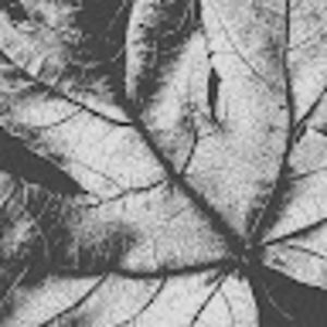 Meet your Posher, Isabella